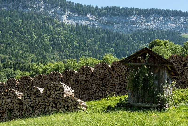 des balles de bois et derrière la forêt dans les montagnes