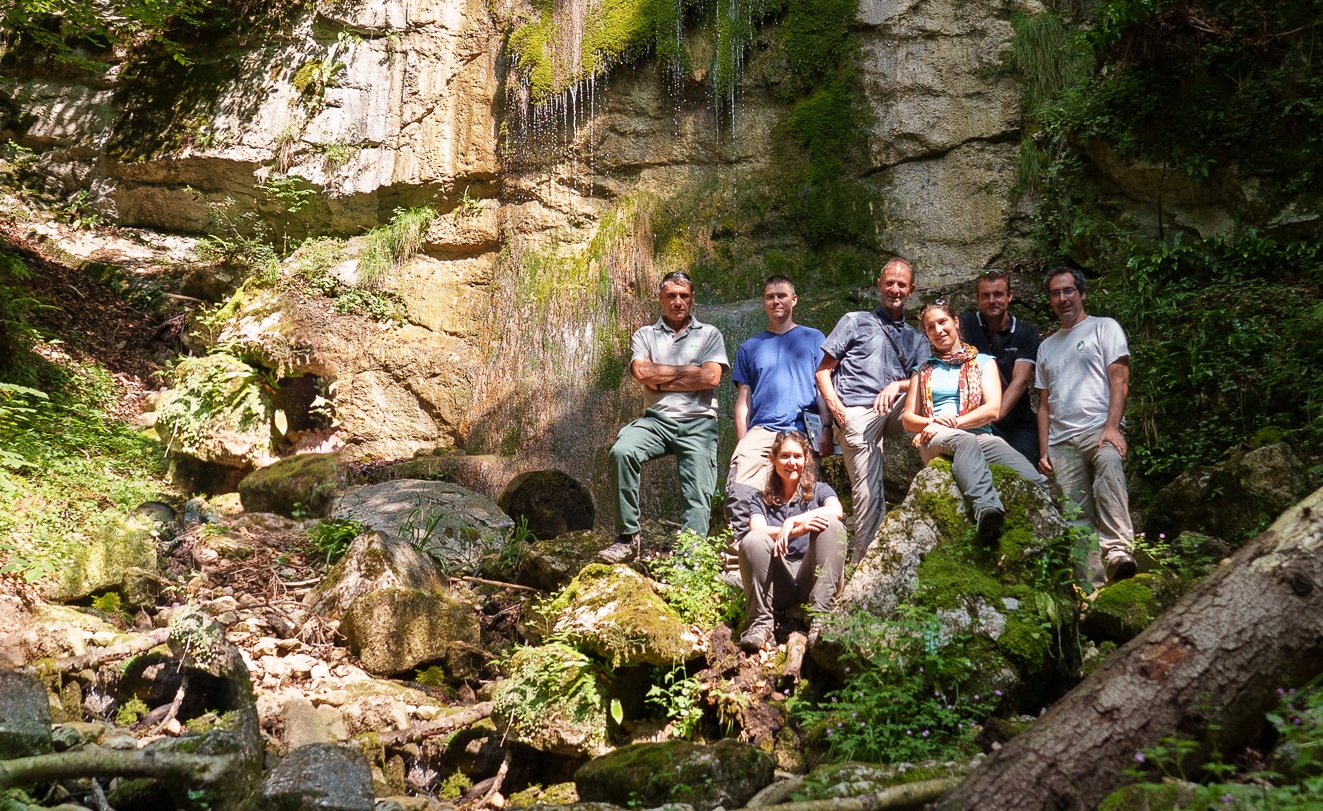 Des personnes dans une forêt